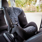 Cosco Scenera Next Extend Convertible Car Seat